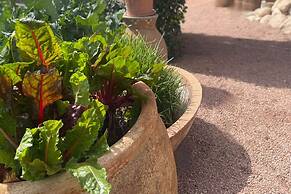 Westward Look Wyndham Grand Resort and Spa