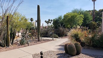 Westward Look Wyndham Grand Resort and Spa