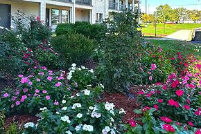 Baymont Inn and Suites by Wyndham Columbus / Near OSU