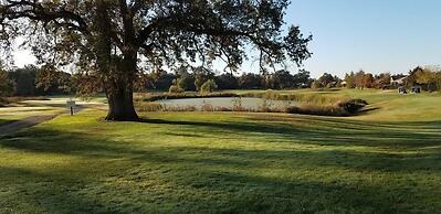 Best Western Amador Inn