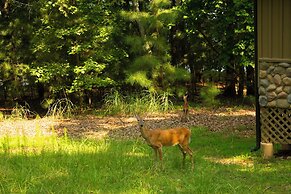 Lanier Islands Resort