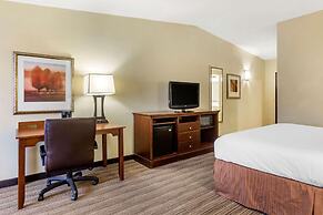 Country Inn & Suites by Radisson, Atlanta Downtown
