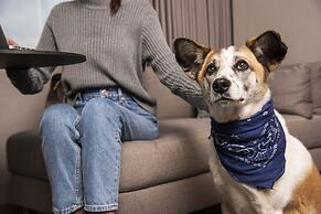 Hyatt Regency Mexico City