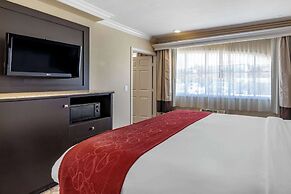 Comfort Suites San Clemente Beach