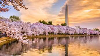 Willard InterContinental Washington by IHG