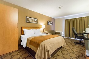 Comfort Inn New Glasgow