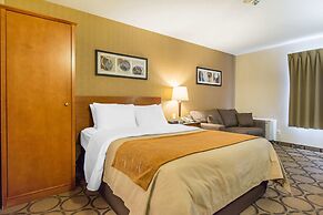 Comfort Inn New Glasgow