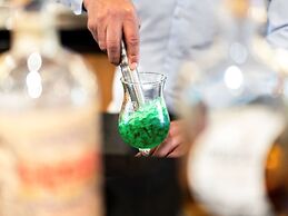 Mercure Bordeaux Château Chartrons