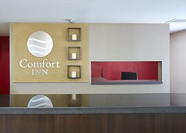 Comfort Inn Belleville