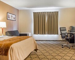 Comfort Inn Brantford