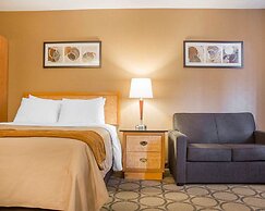 Comfort Inn Brantford