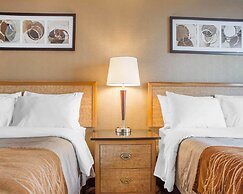 Comfort Inn Brantford