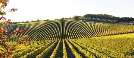 DoubleTree by Hilton Sonoma - Wine Country
