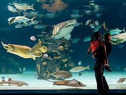 Hilton Cincinnati Airport