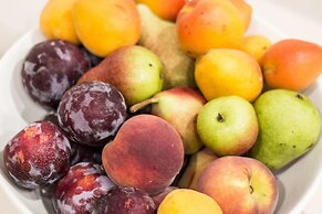 Best Western Hotel Modena District