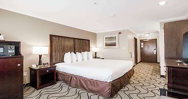 Best Western Plus Orchid Hotel & Suites