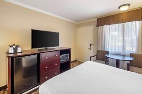 Best Western Plus Orchid Hotel & Suites