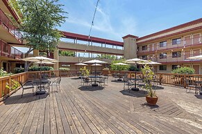 Best Western Plus Orchid Hotel & Suites