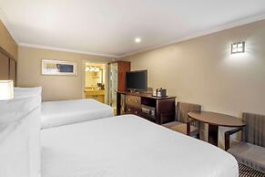 Best Western Plus Orchid Hotel & Suites