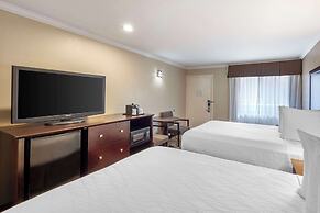 Best Western Plus Orchid Hotel & Suites