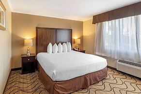 Best Western Plus Orchid Hotel & Suites