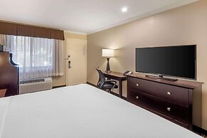 Best Western Plus Orchid Hotel & Suites