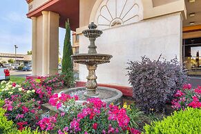 Best Western Plus Orchid Hotel & Suites