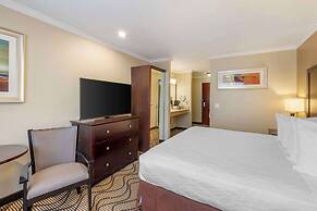 Best Western Plus Orchid Hotel & Suites