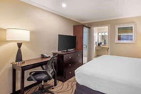 Best Western Plus Orchid Hotel & Suites