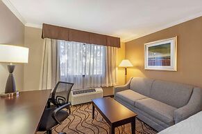 Best Western Plus Orchid Hotel & Suites