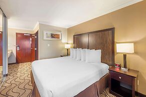 Best Western Plus Orchid Hotel & Suites