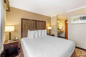 Best Western Plus Orchid Hotel & Suites