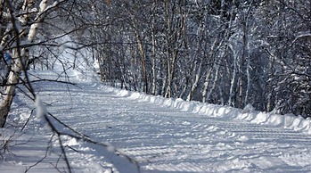 Grand Ely Lodge Resort & Conference Center