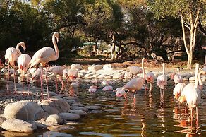 Crowne Plaza Bahrain by IHG