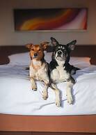 Grand Hyatt Denver