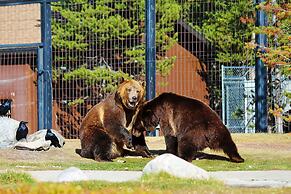 Holiday Inn - West Yellowstone by IHG