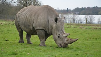 Holiday Inn Haydock M6 Jct23 by IHG