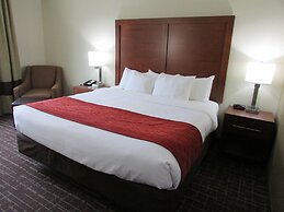 Comfort Inn Wichita Falls Near University