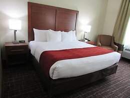 Comfort Inn Wichita Falls Near University