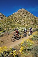 Grand Hyatt Scottsdale Resort