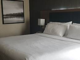 Holiday Inn Express Edmonton Downtown by IHG