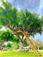 Dan  Caesarea Resort