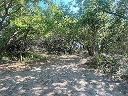 Comfort Inn On the Ocean