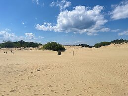 Comfort Inn On the Ocean