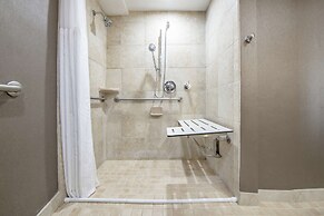 Hilton St. Petersburg Bayfront