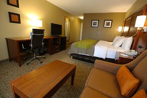 Comfort Inn MSP Airport - Mall of America