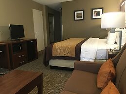 Comfort Inn MSP Airport - Mall of America