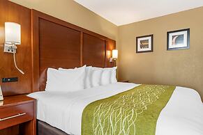 Comfort Inn MSP Airport - Mall of America