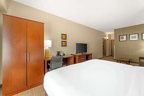 Comfort Suites Near Vancouver Mall