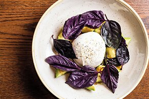 Mayfair House Hotel & Garden